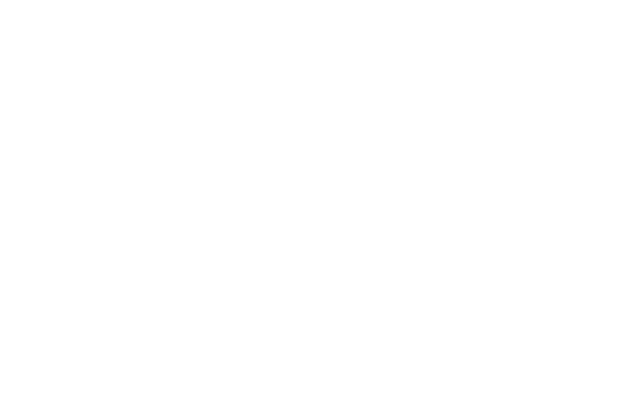 Berkeley Institute for Data Science
